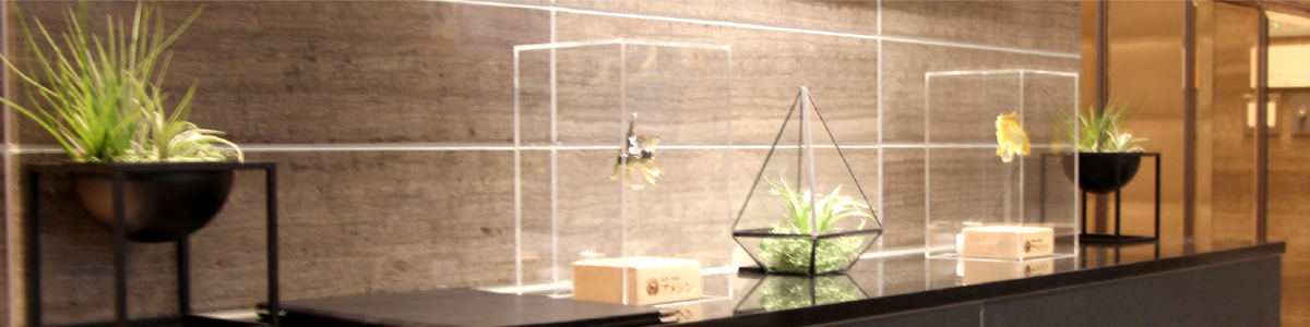 難波グリーン｜観葉植物レンタル