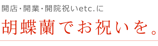 開店・開業・開院祝いetc.に胡蝶蘭でお祝いを。