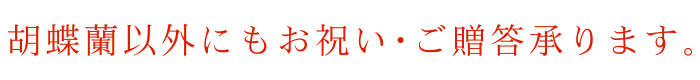 胡蝶蘭以外にもお祝い・ご贈答承ります。