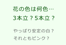お祝い胡蝶蘭｜花の色は何色…3本立？5本立？