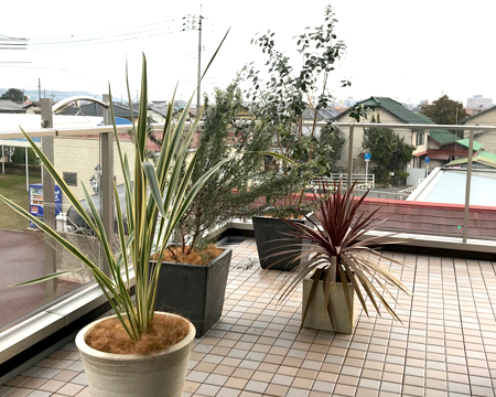 難波グリーン｜緑に関する業務