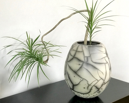 難波グリーン｜鉢物・特殊プランターの販売