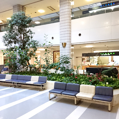 難波グリーン｜観葉植物レンタル｜病院