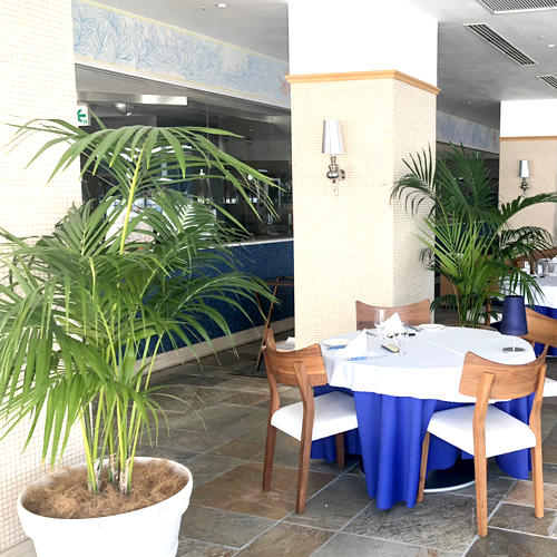 難波グリーン｜観葉植物レンタル｜ホテル