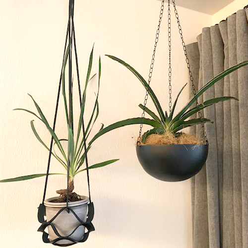 難波グリーン｜観葉植物レンタル｜植栽・管理