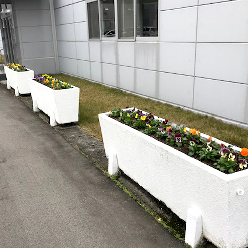 難波グリーン｜観葉植物レンタル｜植栽・管理