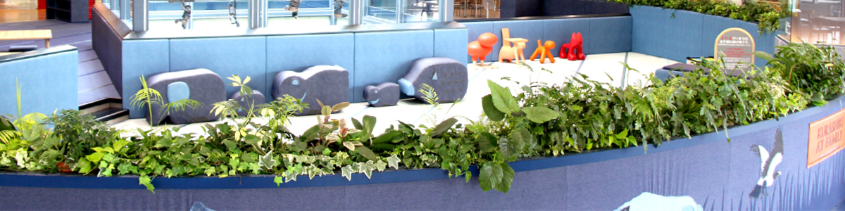 難波グリーン｜観葉植物レンタル