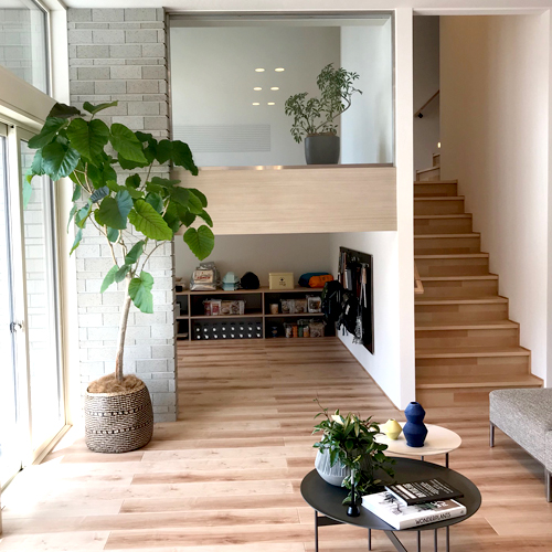 難波グリーン｜観葉植物レンタル｜住宅メーカー