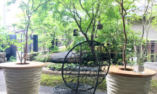 難波グリーン｜観葉植物のメンテナンス