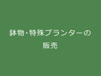 難波グリーン｜鉢物・特殊プランターの販売
