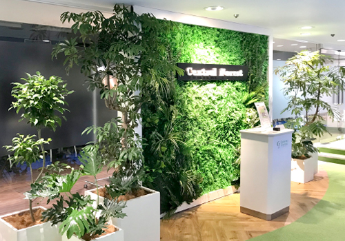 難波グリーン｜鉢物・特殊プランターの販売