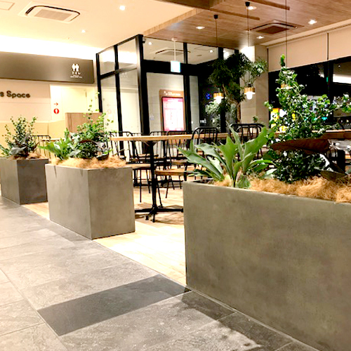 難波グリーン｜観葉植物レンタル｜大型特殊プランター