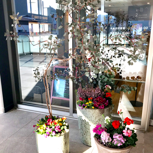 難波グリーン｜観葉植物レンタル｜商業施設